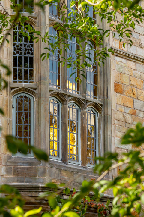 The gothic windows of Branford peek through tree branches 