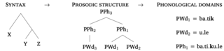 Syntax Prosodic Phonological